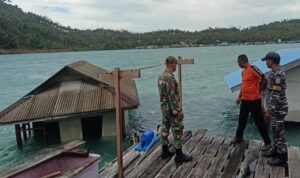 WhatsApp Image 2024-09-14 at 18.24.53