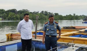 WhatsApp Image 2024-10-23 at 14.48.30