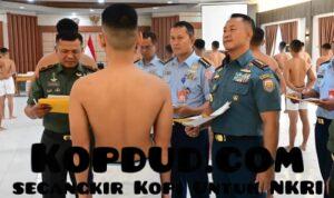 WhatsApp Image 2025-06-26 at 08.10.27 (2)