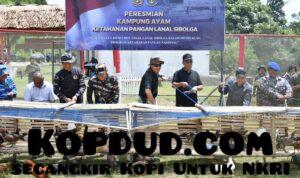 WhatsApp Image 2025-06-28 at 00.47.25