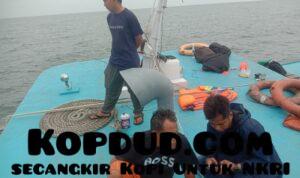 WhatsApp Image 2025-07-16 at 07.34.01 (1)