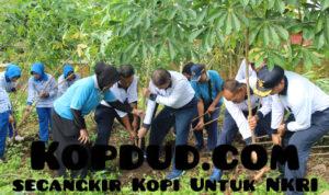 WhatsApp Image 2025-07-29 at 14.28.19 (1)