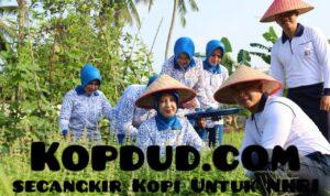 WhatsApp Image 2025-07-29 at 18.37.31