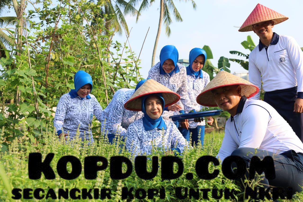 WhatsApp Image 2025-07-29 at 18.37.31