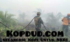 WhatsApp Image 2025-08-05 at 00.14.16