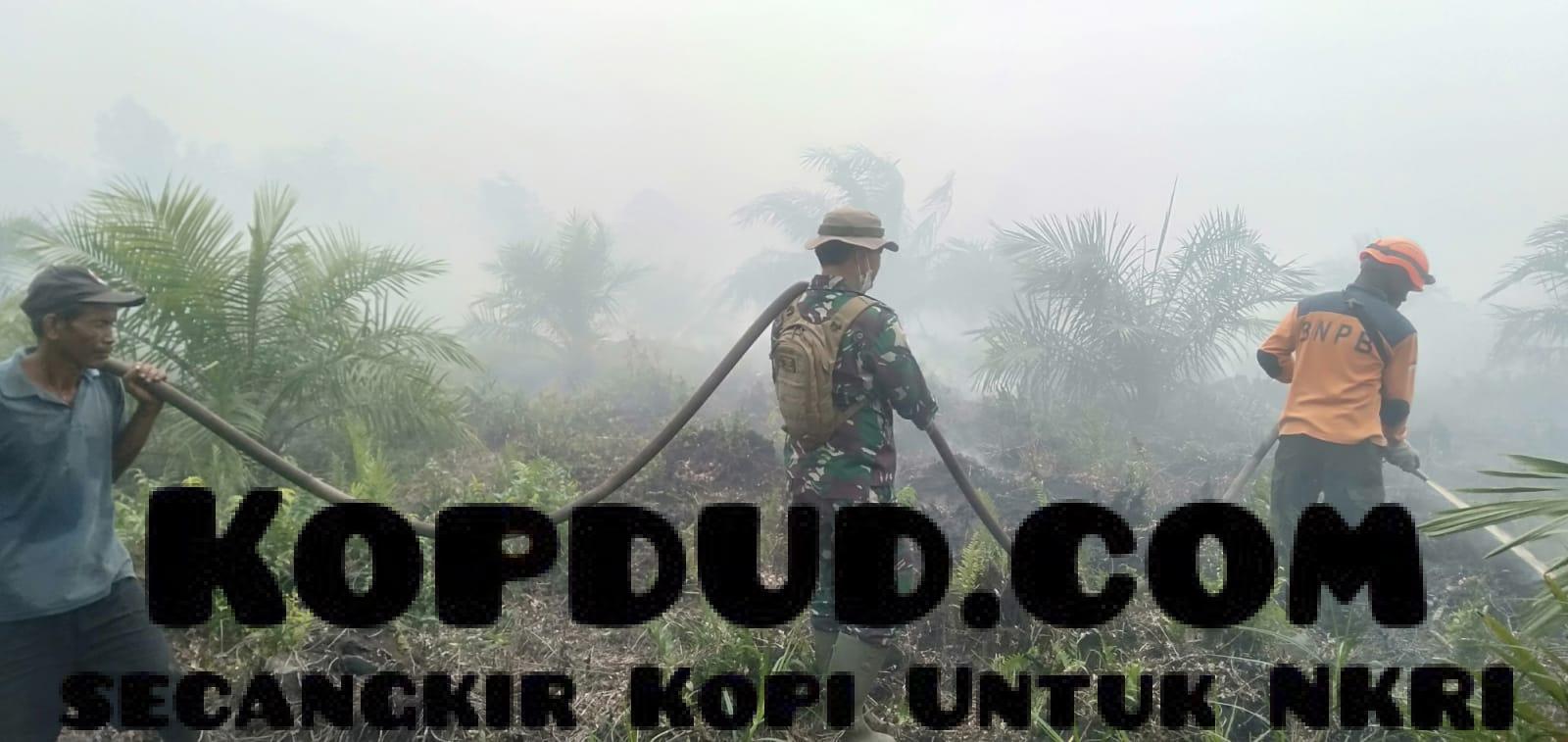 WhatsApp Image 2025-08-05 at 00.14.16