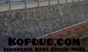 Dinas PU Tuntaskan Perbaikan Jembatan Ciseureuh, Akses Ekonomi Terbuka Lagi