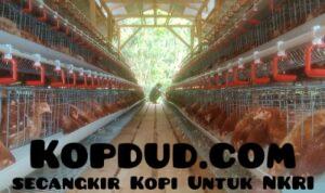 WhatsApp Image 2025-10-11 at 20.07.09