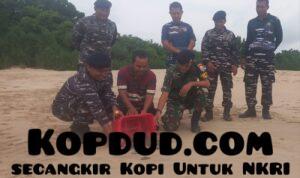 WhatsApp Image 2025-10-14 at 09.43.29