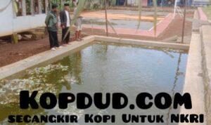 Budidaya Ikan Lele untuk Ketahanan Pangan di Desa Padajaya, Kecamatan Jampangkulon, Kabupaten Sukabumi