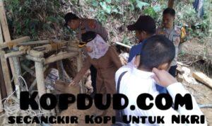 WhatsApp Image 2025-10-28 at 09.10.19