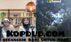 WhatsApp Image 2025-10-31 at 04.12.27