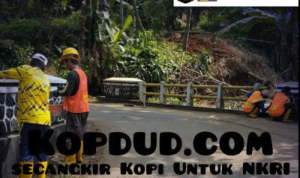 Langkah Preventif Dinas PU: Empat Jembatan di Warungkiara Diperkuat Lewat Pemeliharaan Rutin