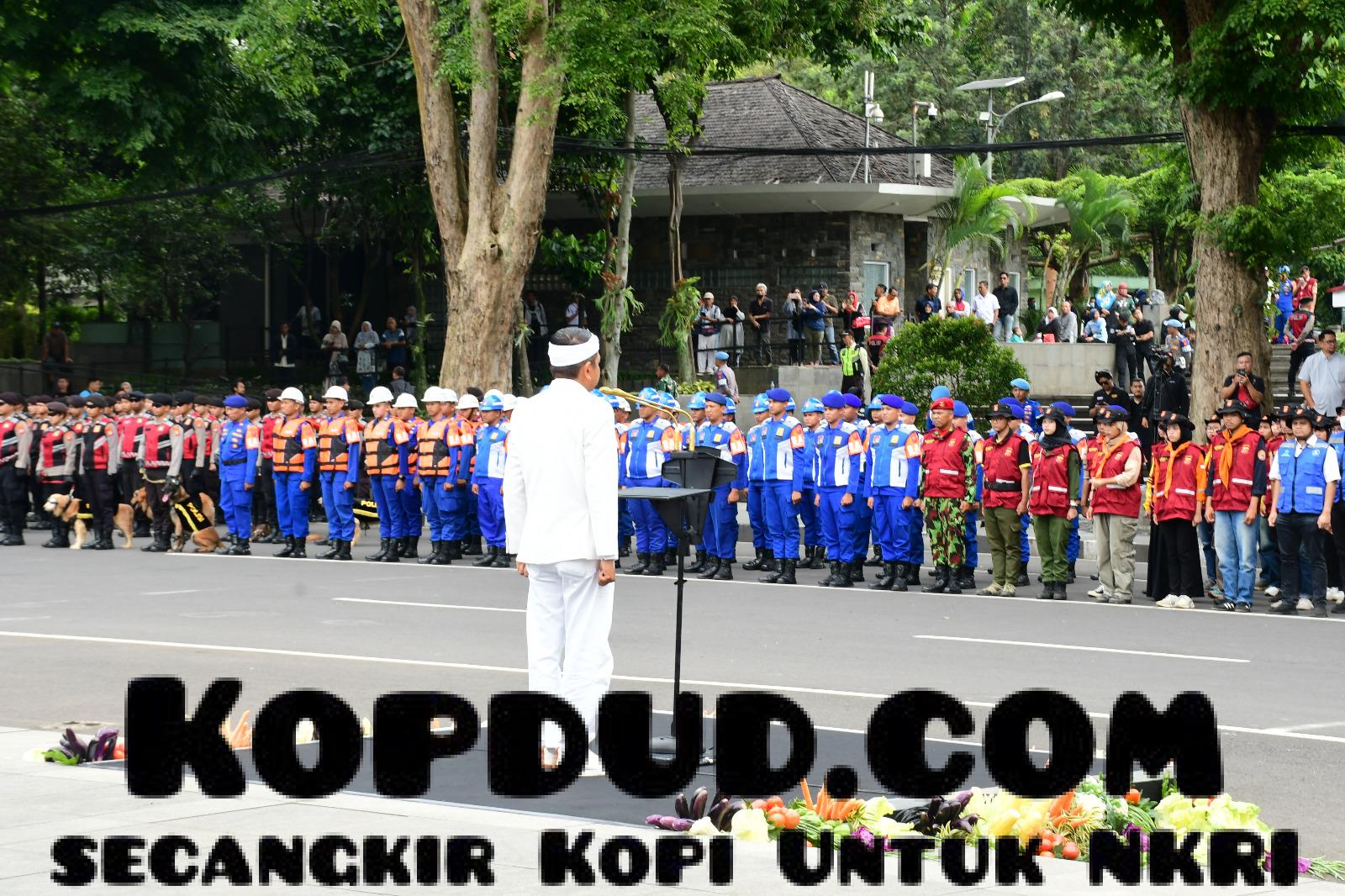 WhatsApp Image 2025-11-05 at 16.46.38