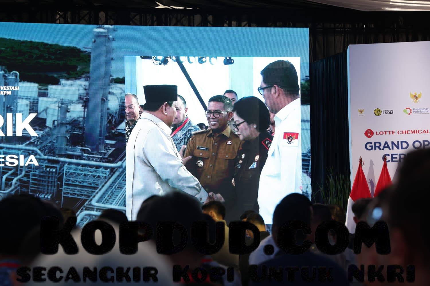 WhatsApp Image 2025-11-07 at 20.38.36