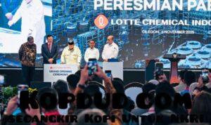 WhatsApp Image 2025-11-08 at 12.36.04