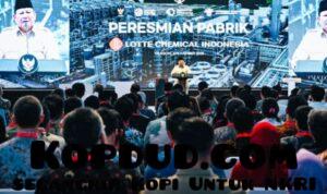 WhatsApp Image 2025-11-08 at 12.37.19