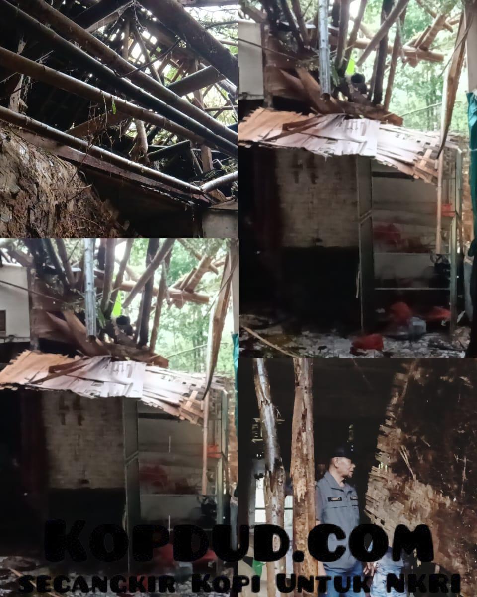 WhatsApp Image 2025-11-08 at 18.38.25