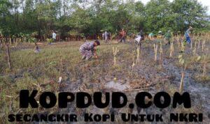 WhatsApp Image 2025-11-15 at 08.07.38 (1)