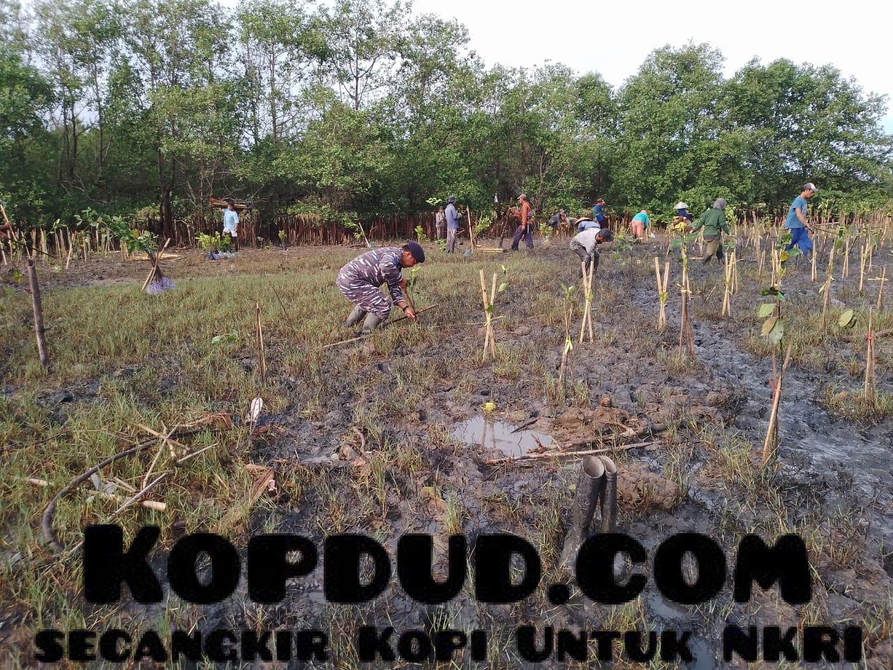 WhatsApp Image 2025-11-15 at 08.07.38 (1)