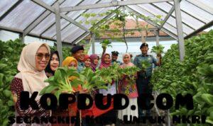 WhatsApp Image 2025-11-19 at 18.07.14 (1)