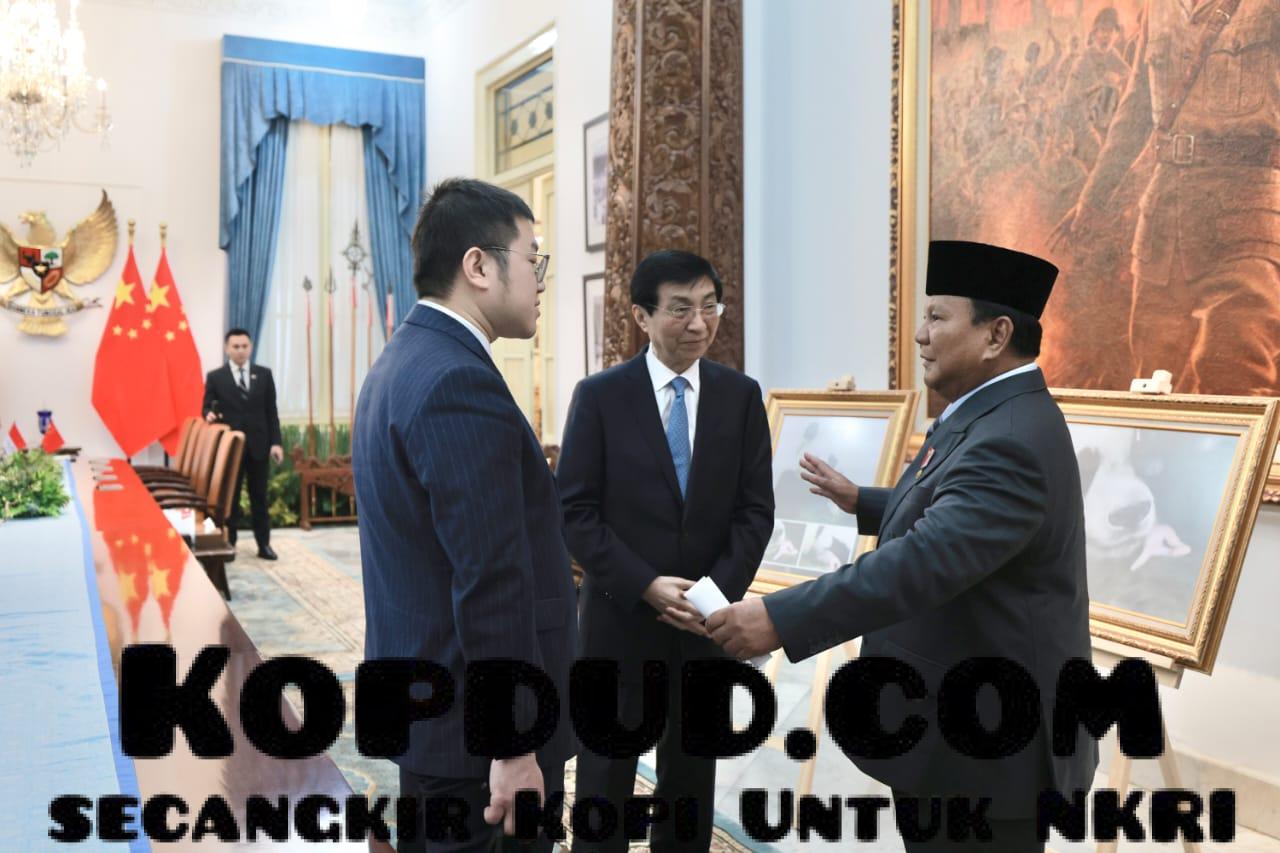 Satrio, Panda Pertama yang Lahir di Indonesia Setelah 10 Tahun Jadi Sorotan di Pertemuan Prabowo dan MPR China