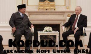 Bertemu Prabowo, Putin Sebut Rusia Siap Bantu Indonesia di Bidang Energi Nuklir