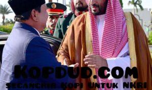 WhatsApp Image 2025-12-12 at 09.37.37