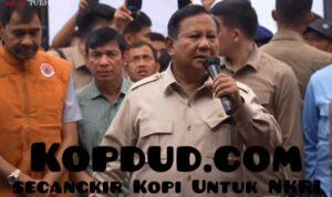 WhatsApp Image 2025-12-12 at 14.44.13