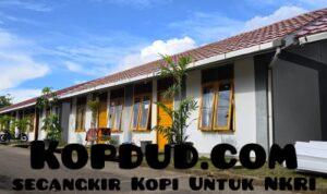 WhatsApp Image 2025-12-18 at 13.03.10