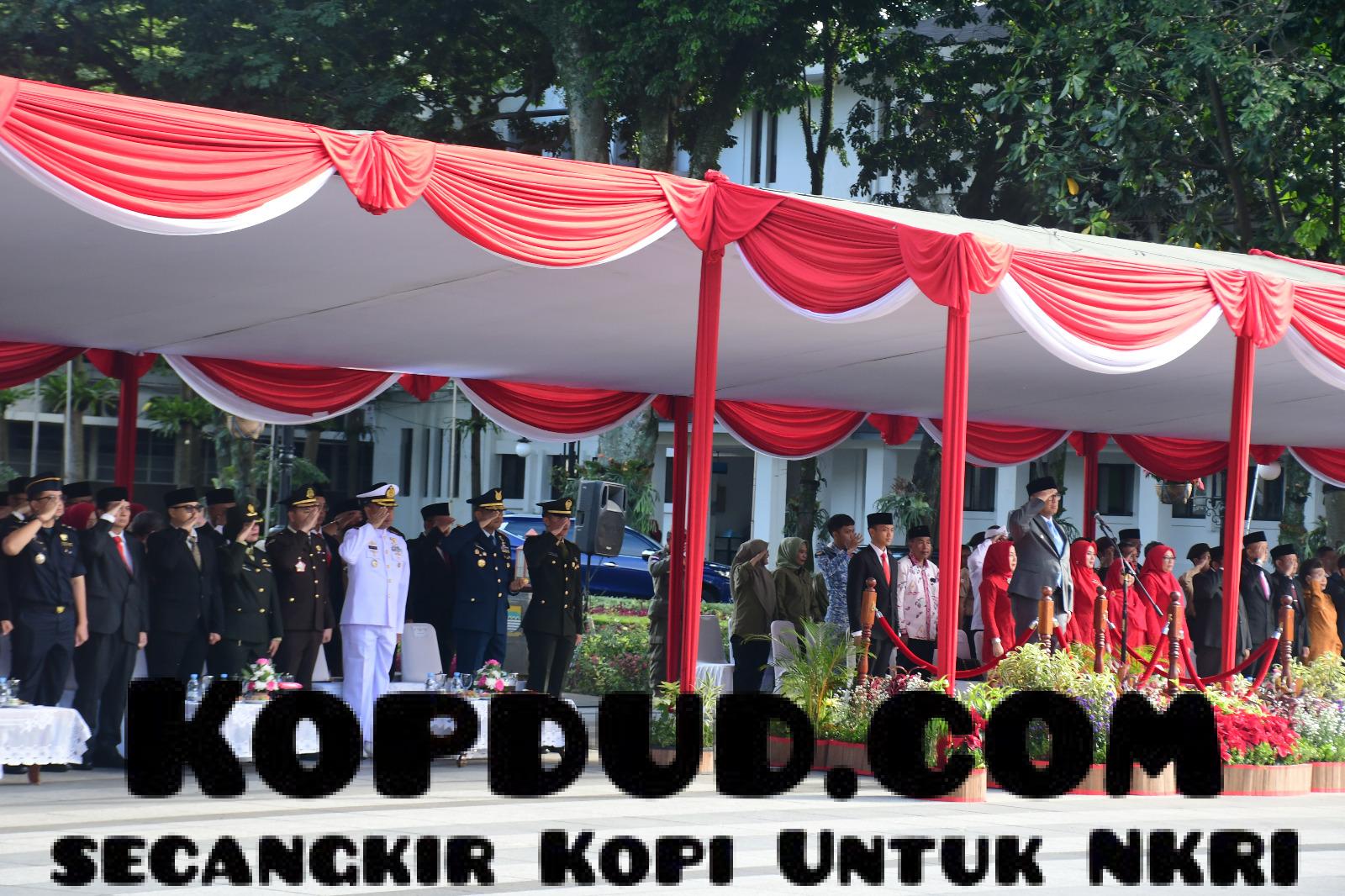 WhatsApp Image 2025-12-19 at 10.58.19