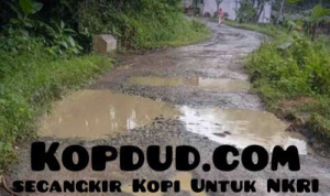 HUT Bakti PU ke-80, Dinas PU Sukabumi Prioritaskan Normalisasi Drainase dan Perbaikan Jalan
