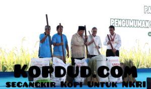 Prabowo Bangga Swasembada Pangan Tercapai dalam Setahun: Kita Berdiri di Atas Kaki Sendiri