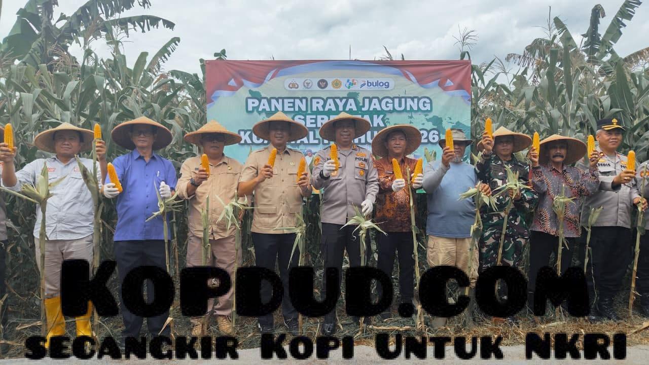 WhatsApp Image 2026-01-13 at 19.08.10