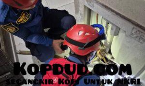 WhatsApp Image 2026-01-15 at 23.56.53