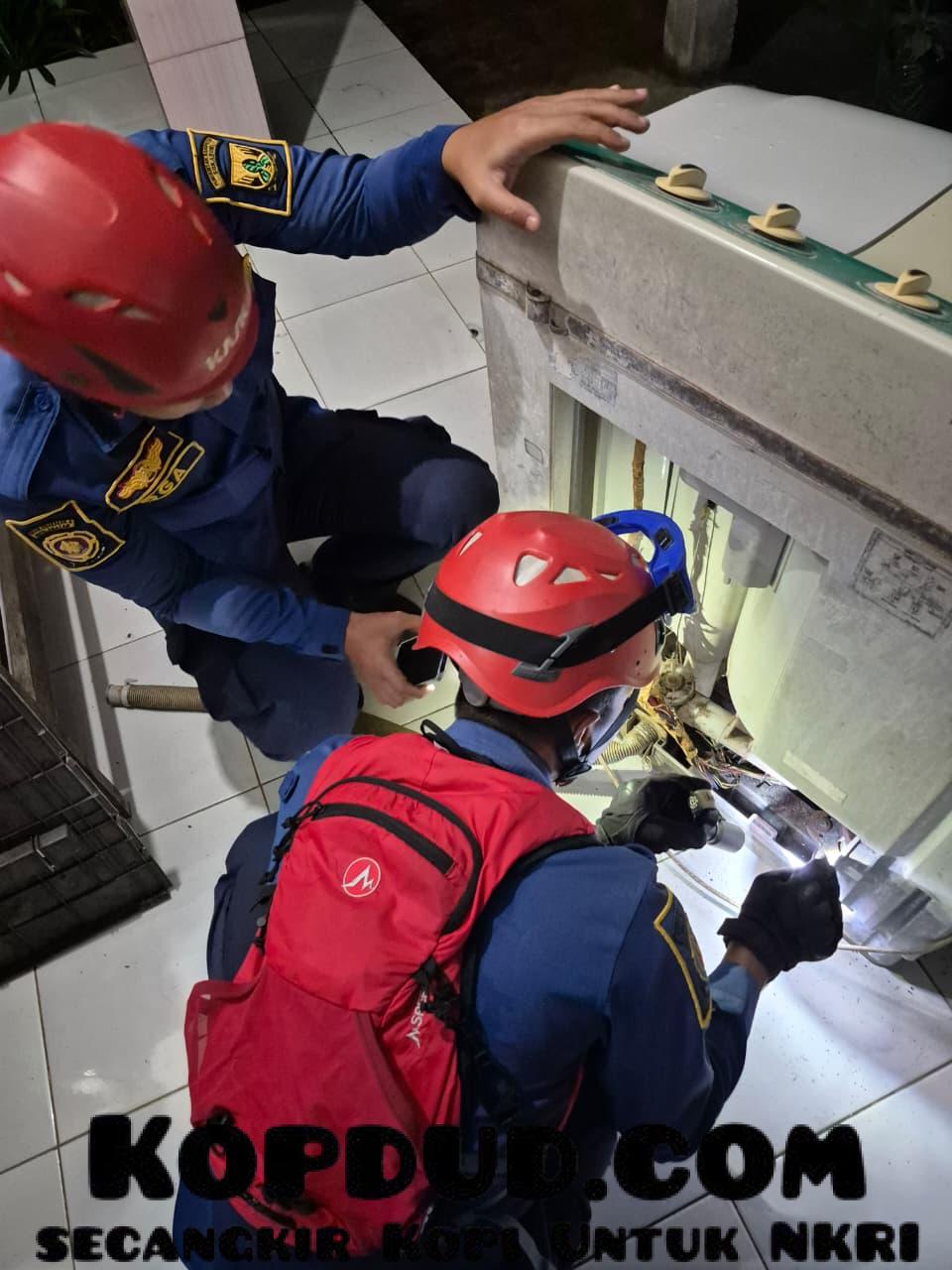 WhatsApp Image 2026-01-15 at 23.56.53