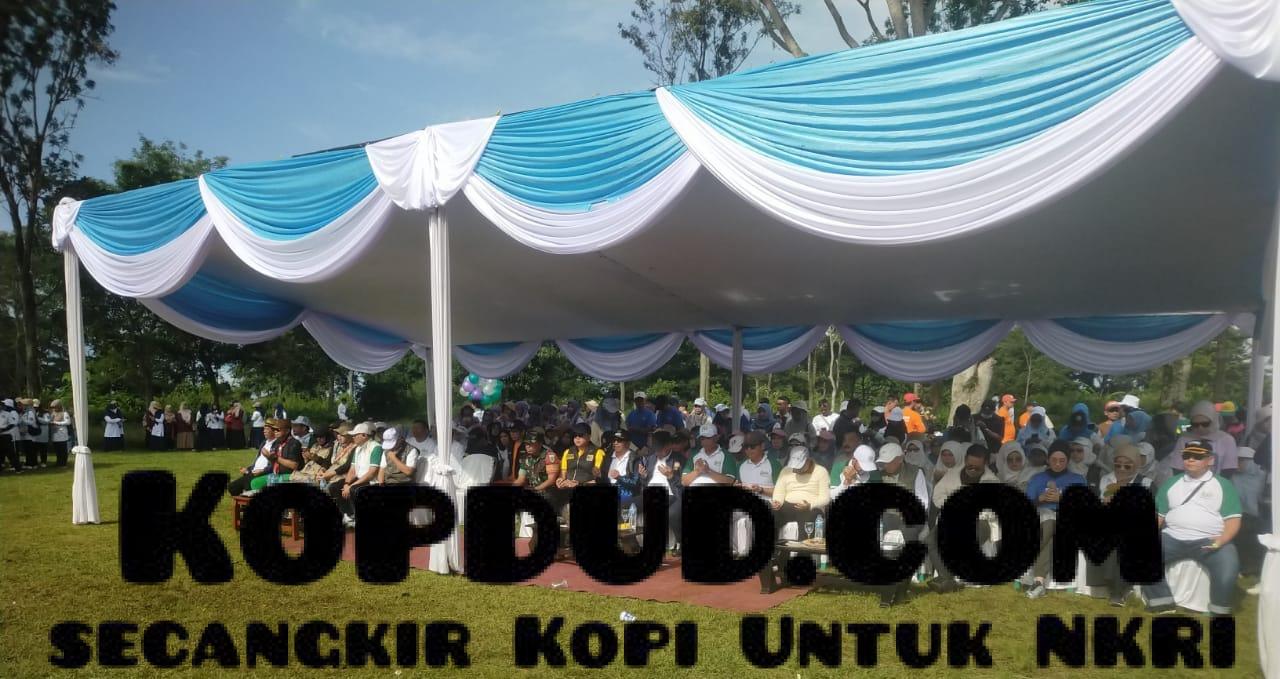 WhatsApp Image 2026-01-17 at 18.57.15