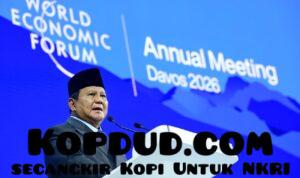 WhatsApp Image 2026-01-23 at 14.40.06