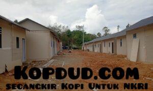 WhatsApp Image 2026-01-31 at 19.27.04