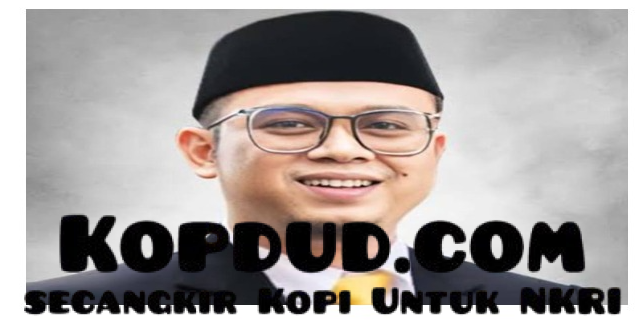 Ketua Komisi IV DPRD Kabupaten Sukabumi, Ferry Supriyadi, SH: Tragedi Pantai Buffalo, DPRD Sukabumi Desak Evaluasi Total Wisata Air