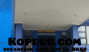 Gerakan Bakti Desa, Langkah Nyata Dinas Perikanan Sukabumi untuk Indonesia Emas 2045