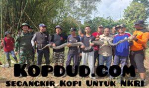 Kerja Bakti Ketua DPRD Berujung Temuan Sanca, Lahan Lama Tak Terurus