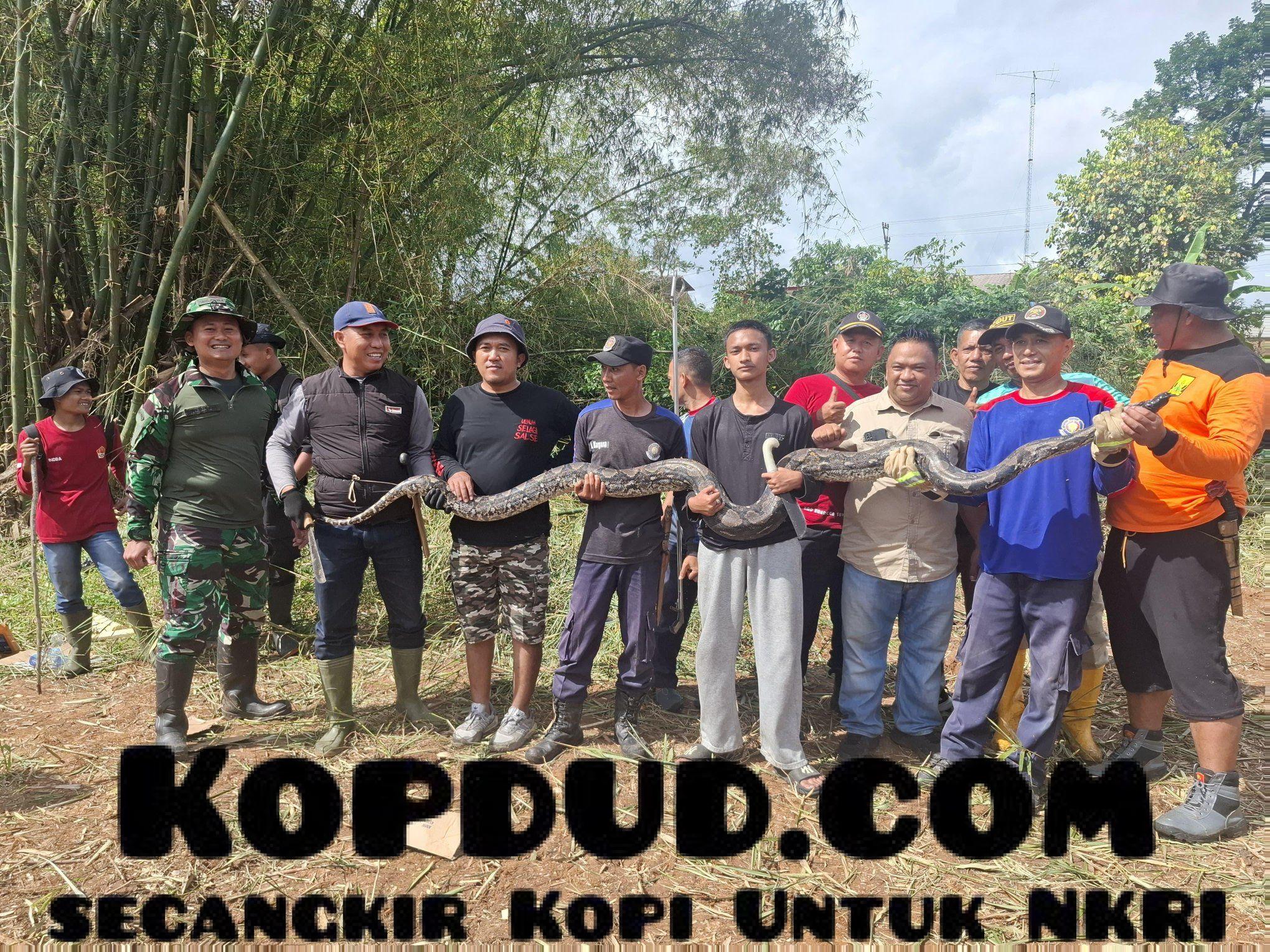 Kerja Bakti Ketua DPRD Berujung Temuan Sanca, Lahan Lama Tak Terurus