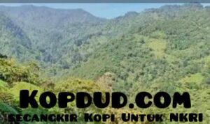 Curug Songko Simpenan Simpan Kisah Angker Turun Temurun, di Balik Sawah Mariuk