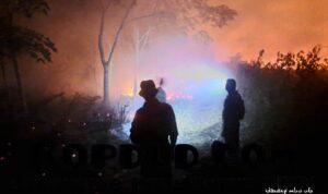 WhatsApp Image 2026-02-06 at 11.53.28 (1)