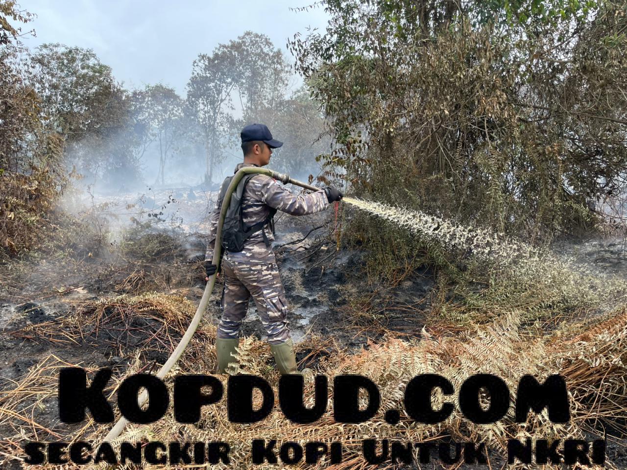 Penuh Keberanian dan Dedikasi Menembus Panas Kobaran Api, Prjaurit TNI AL Berhasil Selamatkan Hutan dan Lahan di Riau