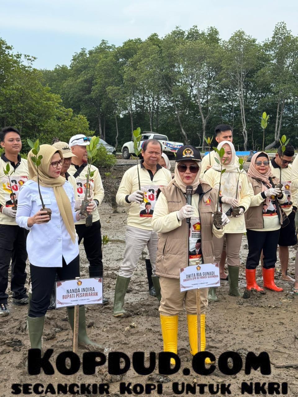 Februari, Bulan Gerakan Kebaikan Gerindra: Tanam 1.000 Mangrove dan Aksi Sosial di Pesisir Lampung