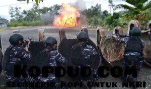 WhatsApp Image 2026-02-16 at 12.08.28