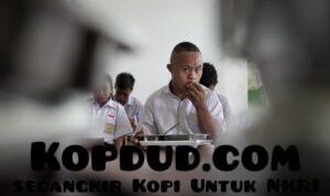 WhatsApp Image 2026-02-17 at 19.07.27