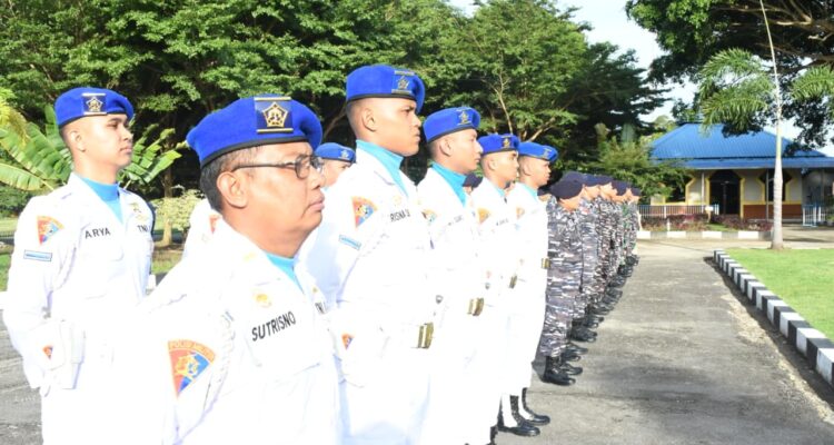 WhatsApp Image 2026-02-20 at 14.50.42